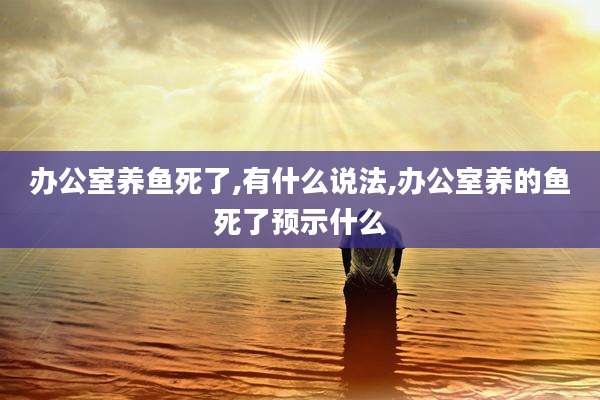 办公室养鱼死了,有什么说法,办公室养的鱼死了预示什么