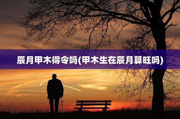 辰月甲木得令吗(甲木生在辰月算旺吗)