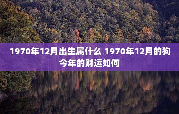 1970年12月出生属什么 1970年12月的狗今年的财运如何
