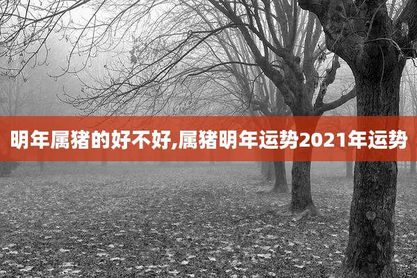 明年属猪的好不好,属猪明年运势2021年运势
