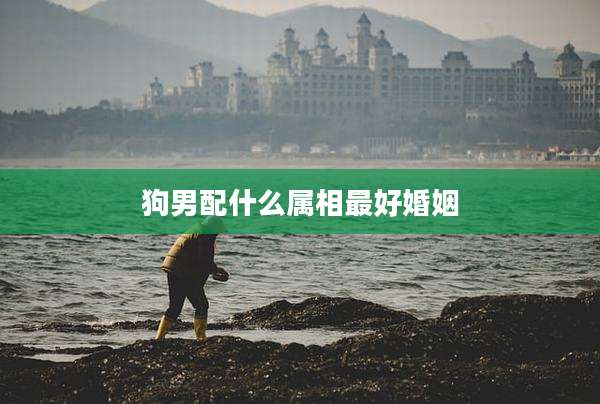 狗男配什么属相最好婚姻