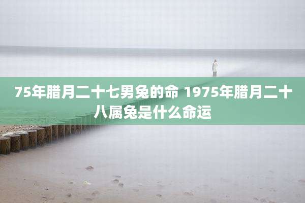 75年腊月二十七男兔的命 1975年腊月二十八属兔是什么命运