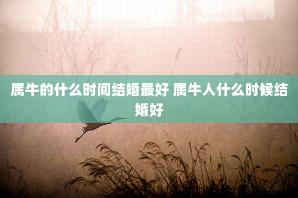 属牛的什么时间结婚最好 属牛人什么时候结婚好