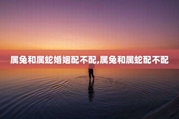 属兔和属蛇婚姻配不配,属兔和属蛇配不配