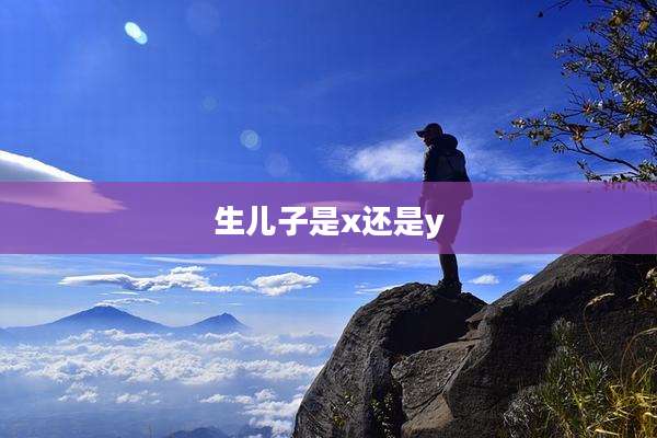 生儿子是x还是y