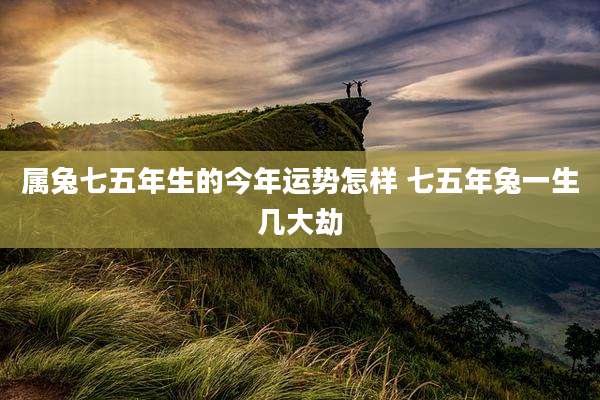 属兔七五年生的今年运势怎样 七五年兔一生几大劫