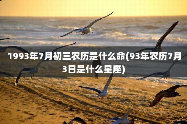 1993年7月初三农历是什么命(93年农历7月3日是什么星座)