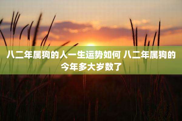 八二年属狗的人一生运势如何 八二年属狗的今年多大岁数了