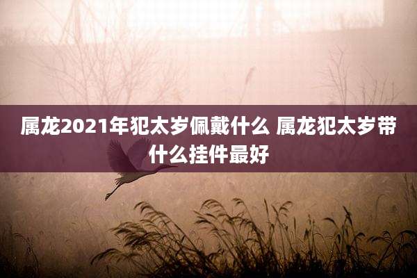 属龙2021年犯太岁佩戴什么 属龙犯太岁带什么挂件最好