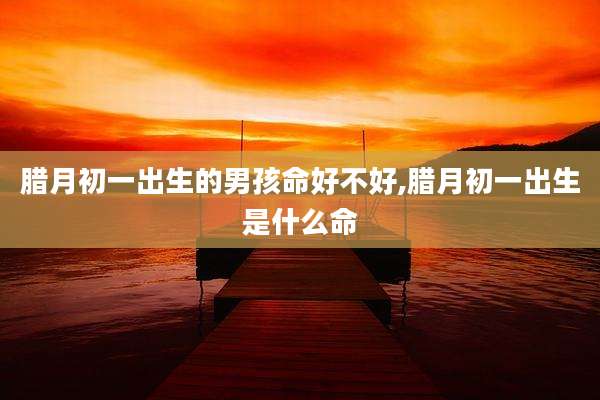 腊月初一出生的男孩命好不好,腊月初一出生是什么命