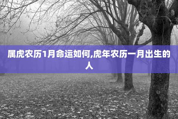 属虎农历1月命运如何,虎年农历一月出生的人