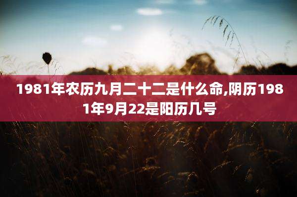1981年农历九月二十二是什么命,阴历1981年9月22是阳历几号