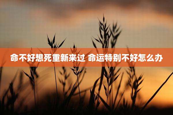 命不好想死重新来过 命运特别不好怎么办