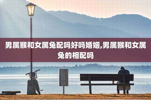 男属猴和女属兔配吗好吗婚姻,男属猴和女属兔的相配吗