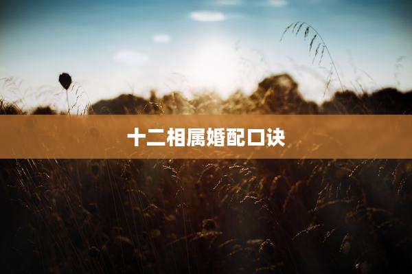 十二相属婚配口诀