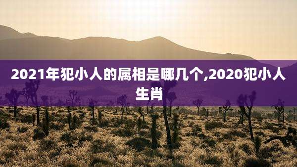 2021年犯小人的属相是哪几个,2020犯小人生肖