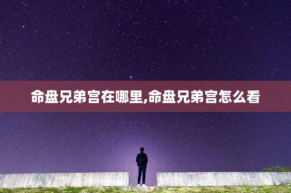 命盘兄弟宫在哪里,命盘兄弟宫怎么看