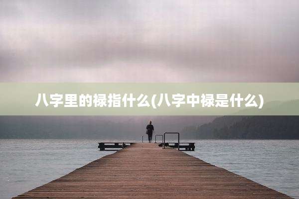 八字里的禄指什么(八字中禄是什么)