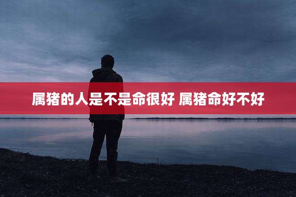 属猪的人是不是命很好 属猪命好不好