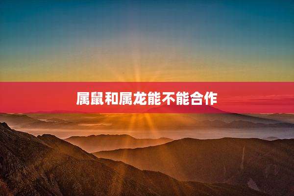 属鼠和属龙能不能合作