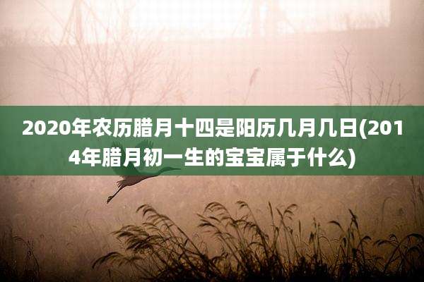 2020年农历腊月十四是阳历几月几日(2014年腊月初一生的宝宝属于什么)