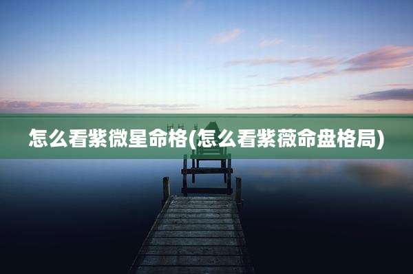 怎么看紫微星命格(怎么看紫薇命盘格局)