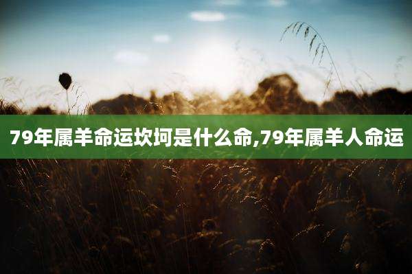 79年属羊命运坎坷是什么命,79年属羊人命运