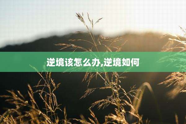 逆境该怎么办,逆境如何
