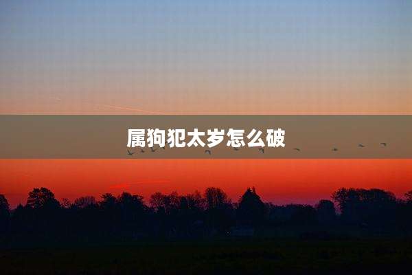 属狗犯太岁怎么破
