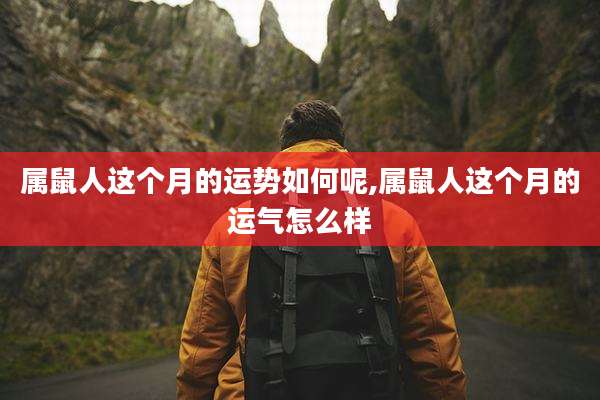 属鼠人这个月的运势如何呢,属鼠人这个月的运气怎么样