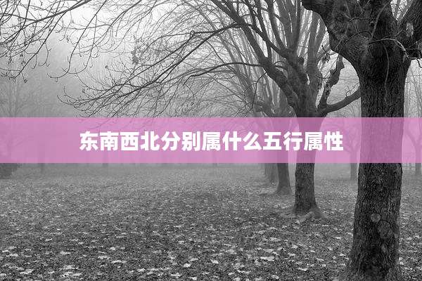 东南西北分别属什么五行属性