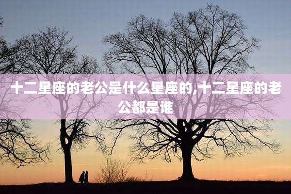 十二星座的老公是什么星座的,十二星座的老公都是谁