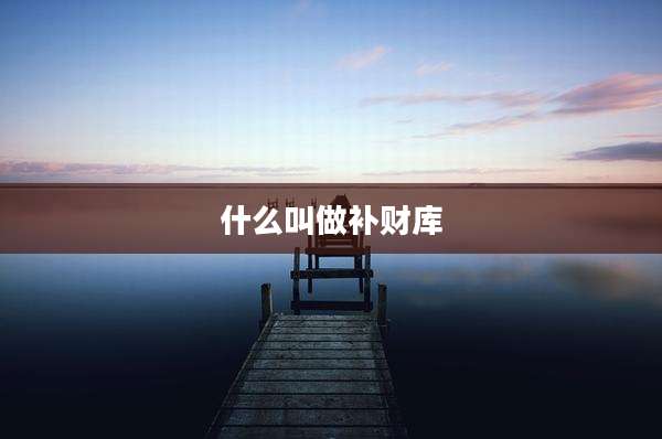 什么叫做补财库