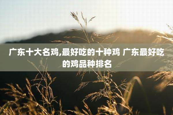 广东十大名鸡,最好吃的十种鸡 广东最好吃的鸡品种排名