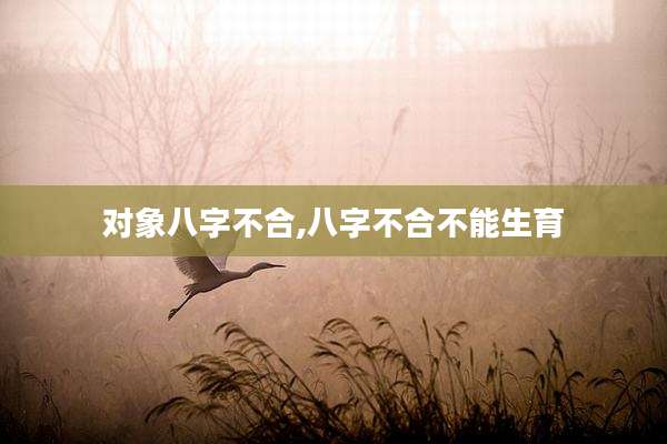 对象八字不合,八字不合不能生育