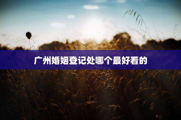 广州婚姻登记处哪个最好看的
