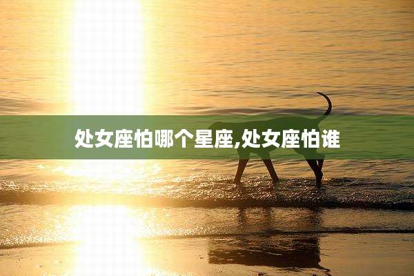 处女座怕哪个星座,处女座怕谁