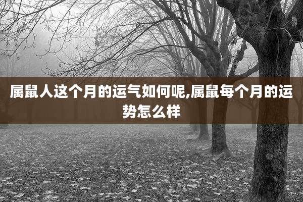 属鼠人这个月的运气如何呢,属鼠每个月的运势怎么样
