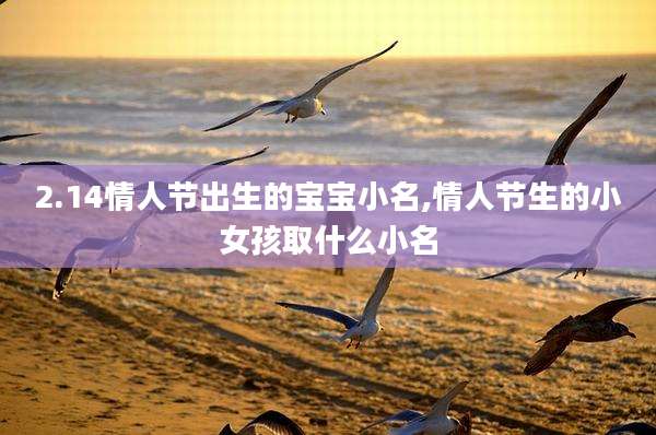 2.14情人节出生的宝宝小名,情人节生的小女孩取什么小名