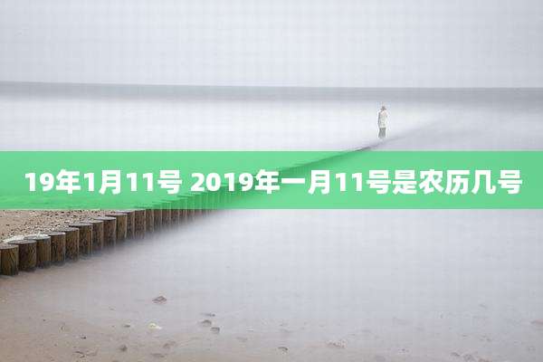 19年1月11号 2019年一月11号是农历几号
