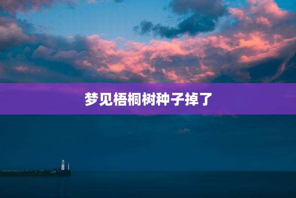 梦见梧桐树种子掉了