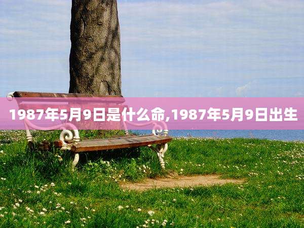 1987年5月9日是什么命,1987年5月9日出生