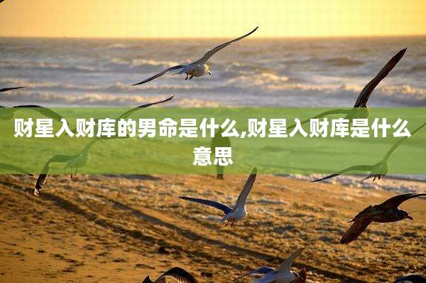 财星入财库的男命是什么,财星入财库是什么意思