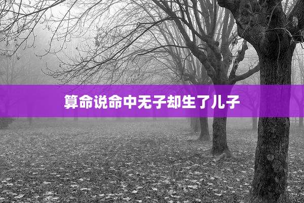 算命说命中无子却生了儿子