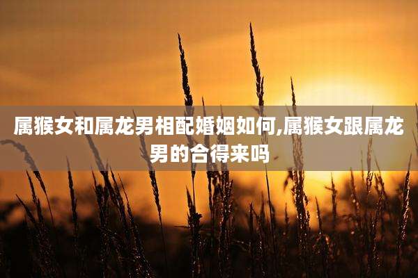 属猴女和属龙男相配婚姻如何,属猴女跟属龙男的合得来吗
