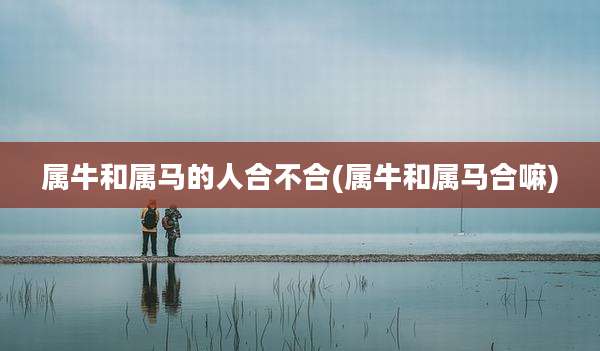 属牛和属马的人合不合(属牛和属马合嘛)