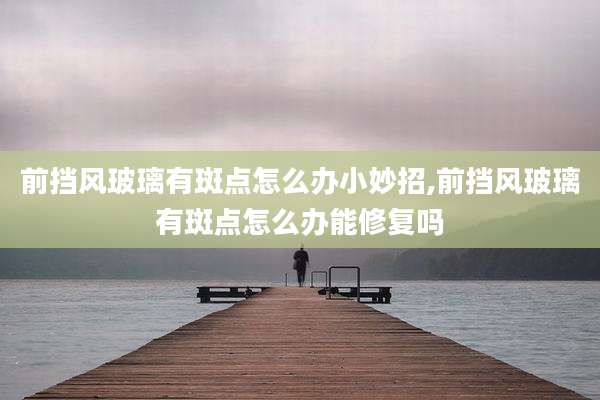 前挡风玻璃有斑点怎么办小妙招,前挡风玻璃有斑点怎么办能修复吗