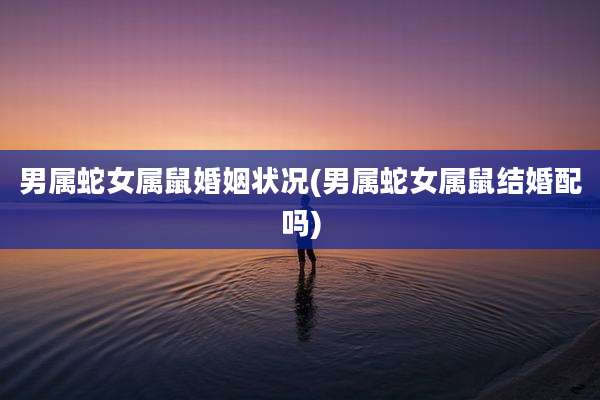 男属蛇女属鼠婚姻状况(男属蛇女属鼠结婚配吗)