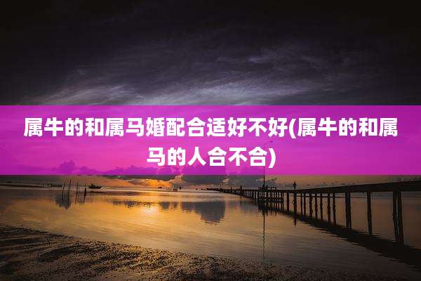 属牛的和属马婚配合适好不好(属牛的和属马的人合不合)