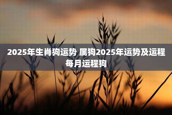 2025年生肖狗运势 属狗2025年运势及运程每月运程狗